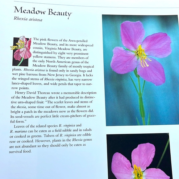 USPS Wildflowers A Collection Of U.S. Commemorative Stamps Hardcover Book - Picture 9 of 16